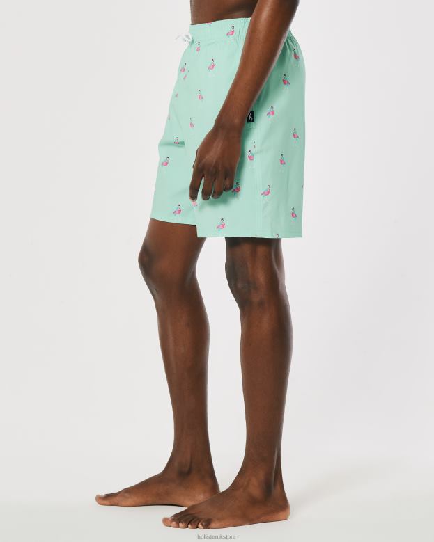 Bottoms Hollister Men Guard Swim Trunks 7\\ 488201395 Mint Print